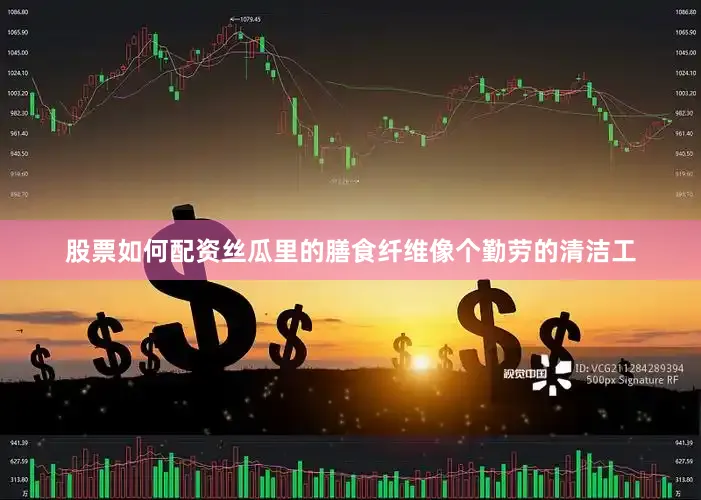 股票如何配资丝瓜里的膳食纤维像个勤劳的清洁工