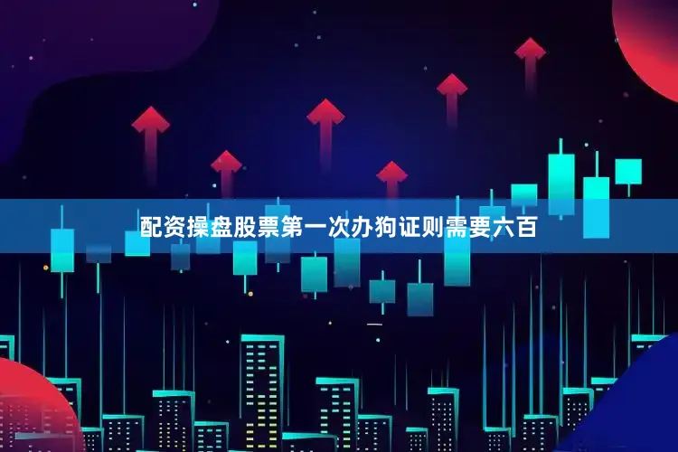 配资操盘股票第一次办狗证则需要六百